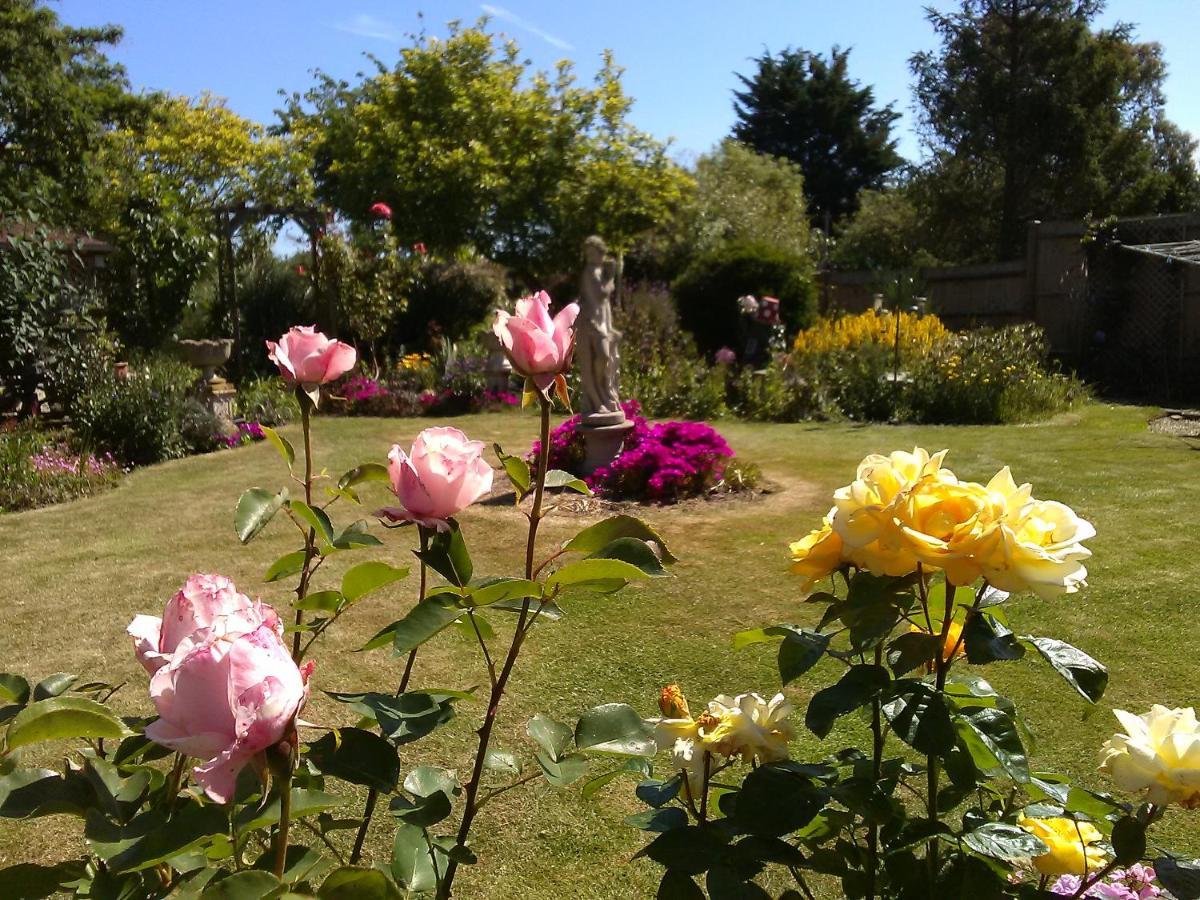 Cherry Garden B&B Folkestone Extérieur photo